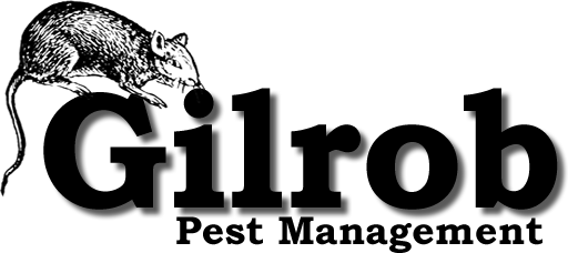 Welcome To Gilrob